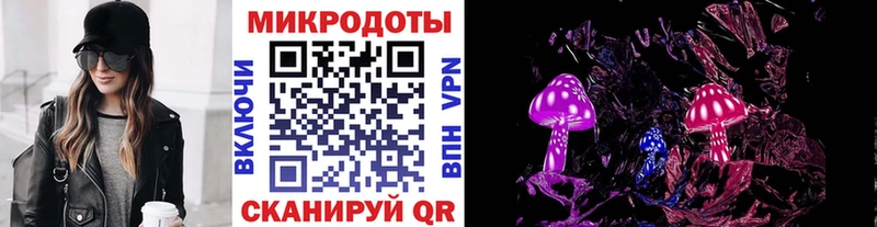 Галлюциногенные грибы Psilocybe Чаплыгин